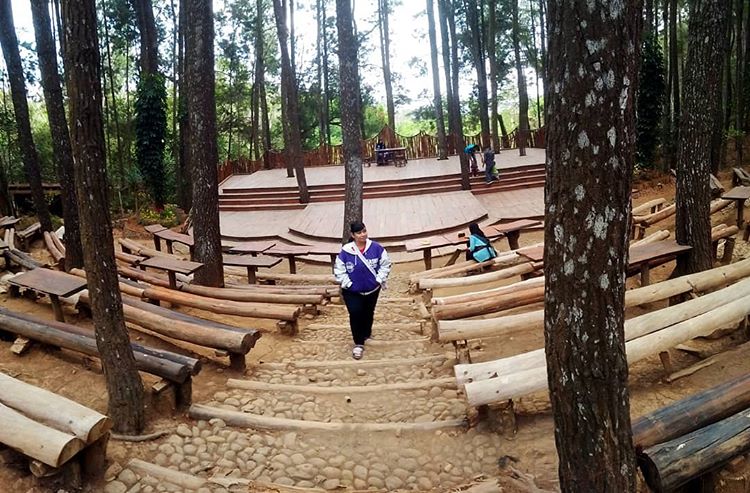 Hutan Pinus Mangunan